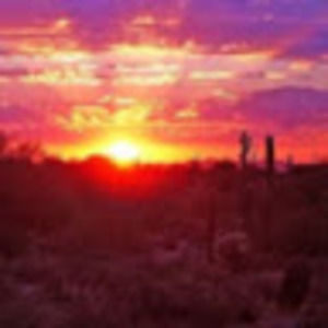 Meet your Posher, Lydia